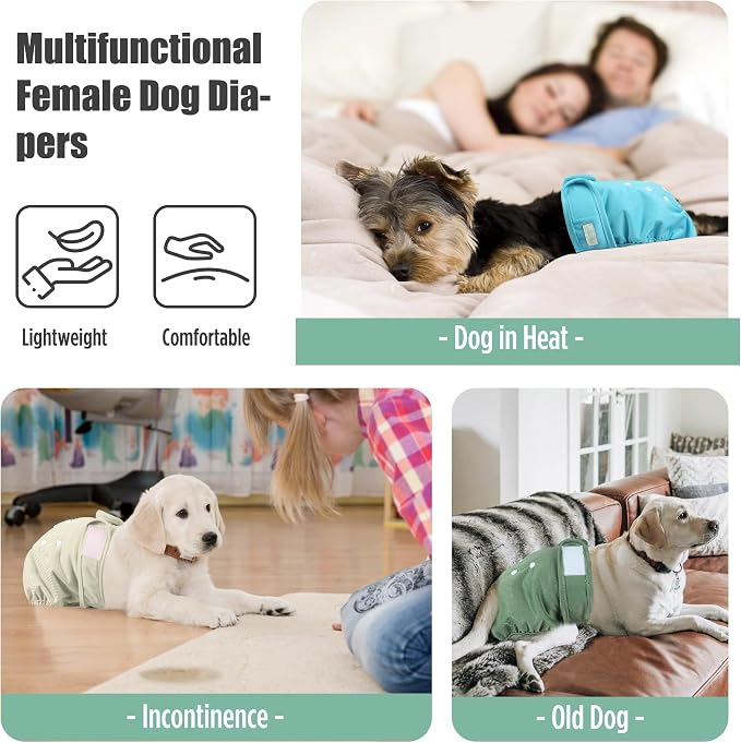 wegreeco Female Dog Diapers, Washable Reusable Pet Puppy Doggie Diapers for Small Medium Large Female Dogs in Heat Period, Doggy Period Panties, 5 Pack, Large, Blue Green