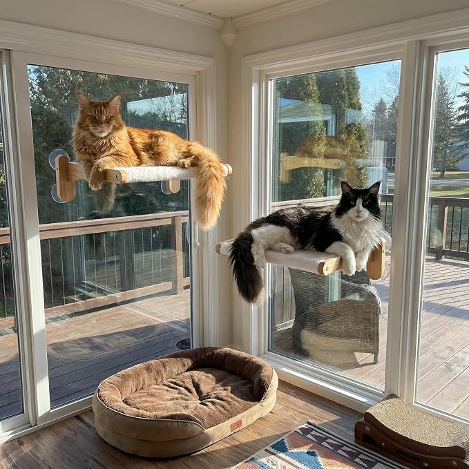 Cat Window Perch with Bird Feeder – Foldable Hammock, Strong Suction Cups for Indoor Cats(Nature)
