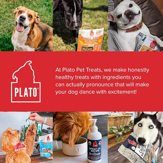 PLATO Pet Treats Small Bites - Air-Dried Training Treats for Dogs - Supports Healthy Digestion - Limited Ingredients - Organic Chicken 6oz - 2 Pack