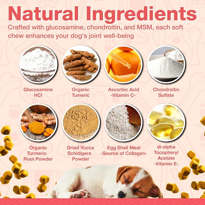 Arthritis Dog Joint Chews| Glucosamine, Chondroitin, Omega-3| MSM Support for Healthy Joints| 240ct Veterinarian Formulated Soft Chews| Up to 4-Month Supply