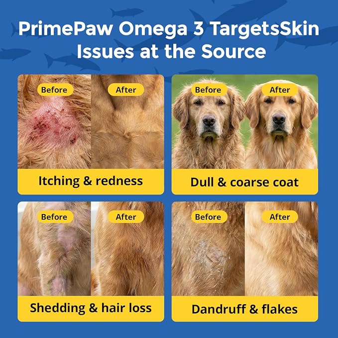 Omega-3 Skin & Coat Soft Chews for Dogs -120 Count, 2-Month Supply -Salmon Oil + Krill + Flaxseed with Turmeric & Green Tea -Itch Relief, Shedding Control & Healthy Coat for All Breeds