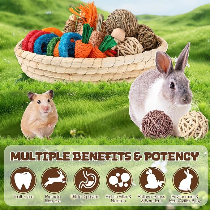 Novabright 33 PCS Rabbit Chew Treat Toys Set Natural Bunny Enrichment Toys for Teeth Health Indoor Outdoor for Rabbit Guinea Pig Chinchilla Hamster(Classic)