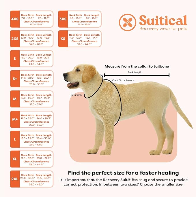 Suitical Recovery Suit for Dogs - Spay and Neutering Dog Surgery Recovery Suit for Male or Female - Soft Fabric for Skin Issues - 2XS Neck to Tail 13.0-16.5 Inches, 16-20 Inches Chest Pink Camouflage