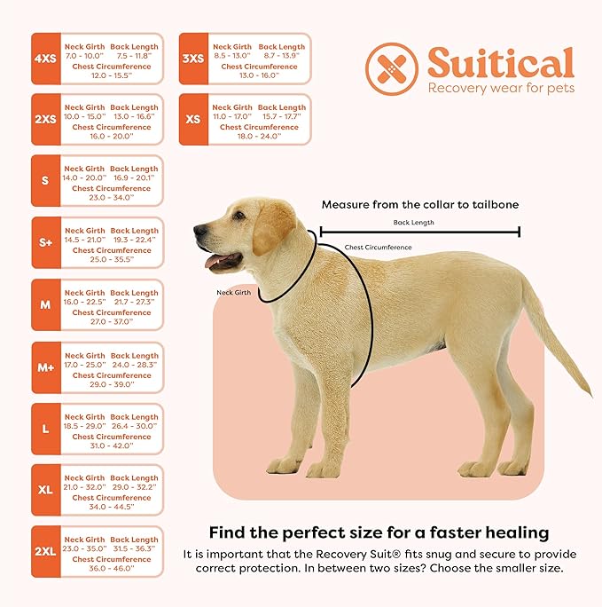 Suitical Recovery Suit for Dogs | Spay and Neutering Dog Surgery Recovery Suit for Male or Female | Soft Fabric for Skin Conditions | 2XL | Neck to Tail 31.5”-36.2” | Pink Camouflage