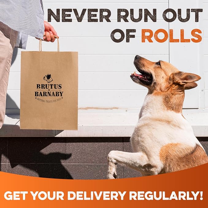 Premium Beef Cheek Rolls for Dogs 10-12" - (10-Pack) Long Lasting, Safe & Natural Rawhide Alternative Chews, Ideal for Large Dogs & Aggressive Chewers, Supports Dental Health & Digestion