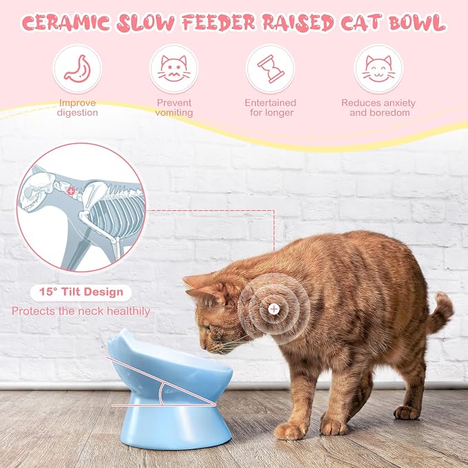 Funnymoom 2 Pcs Ceramic Raised Slow Feeder Cat Bowl, 5.91inch Elevated Cat Slow Feeder Bowl Tilted Anti Vomiting for Dry Wet Food and Water Easy to Clean High Edge(Pink, Blue)