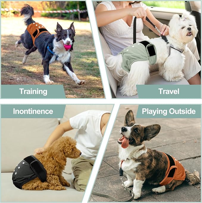 Female Dog Diapers - Premium Reusable Diapers for Doggie in Heat - Highly Absorbent Dog Diapers Female for Pet Incontinence with Adjustable Snaps Brown Black, XXL