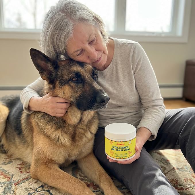 Zoomies Hip & Joint Supplement for Dogs - Soft Chews with Eggshell Membrane, Boswellia, MSM - Joint Support for Senior Dogs - Made in USA - 60 Chews