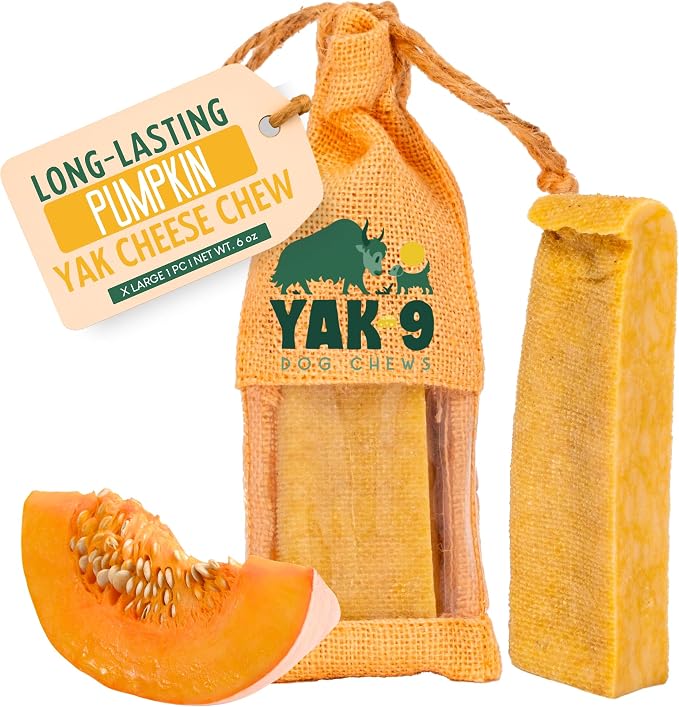 Yak9 Yak Cheese Himalayan Dog Chews, Pumpkin | High Protein, High Fiber Pumpkin Treats for Dogs | Long Lasting, Non GMO, Gluten Free, Grain Free | Extra Large Size,1 PC