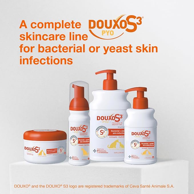 Douxo S3 PYO Medicated Dog Shampoo with 3% Chlorhexidine for Dogs – Antibacterial & Antiseptic Yeast Infection Treatment For Dogs & Cats, Clinically Proven, 6.7 fl oz