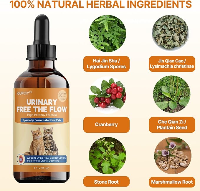Bladder & Kidney Stones Dissolver for Cats - Naturally Break out Cat Crystals and Stones -Cat Uti Remedy,Vet-Formulated Cat Bladder Support for Urine Incontinence, Painful Urination & From-Root Relief