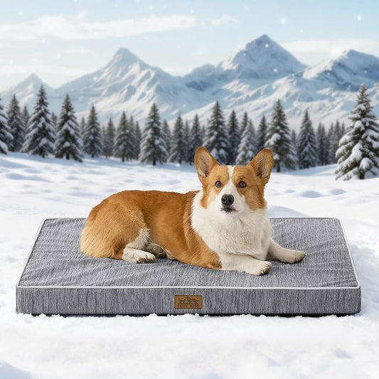 COZY KISS Cooling Orthopedic Dog Bed, Waterproof Egg Crate Foam Pet Bed with Removable Washable Cover, Silver Grey, 36x27x3 Inch,Dark Grey