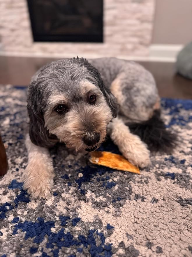 Fieldcrest Farms Nothin to Hide Flip Chips Dog Chews - Natural Rawhide Alternative Treats for Dogs, Collagen Based Snack for Moderate Chewers Up to 35lbs, Chicken Flavor