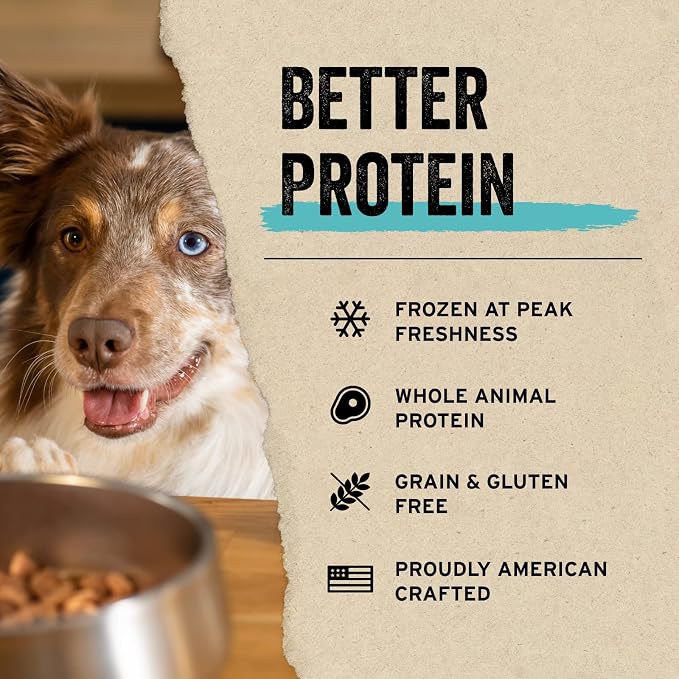 Vital Essentials Freeze Dried Dog Food Topper, Raw Beef Ground Topper for Dogs | Complete Meal or Topper | High Protein, Grain Free Dry Dog Food Mix-in | 6 oz Bag