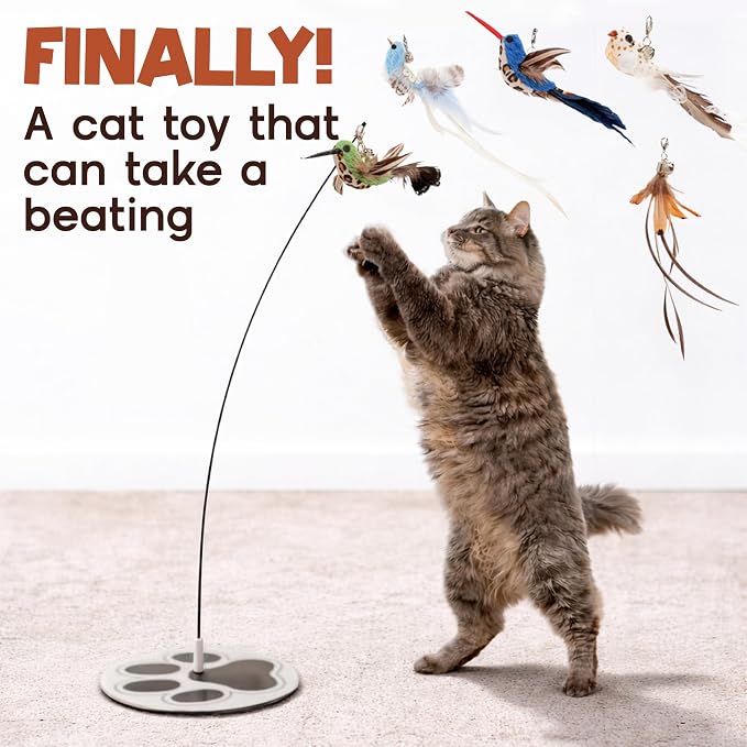 Interactive Cat Toys for Indoor Cats - 5 Replacement Feathers with Bells - Teaser Wand Toy - Self Play Bird Simulation - Bored Adult Feline Hunting Solo Chaser Activity - Kitten Juguetes para Gatos