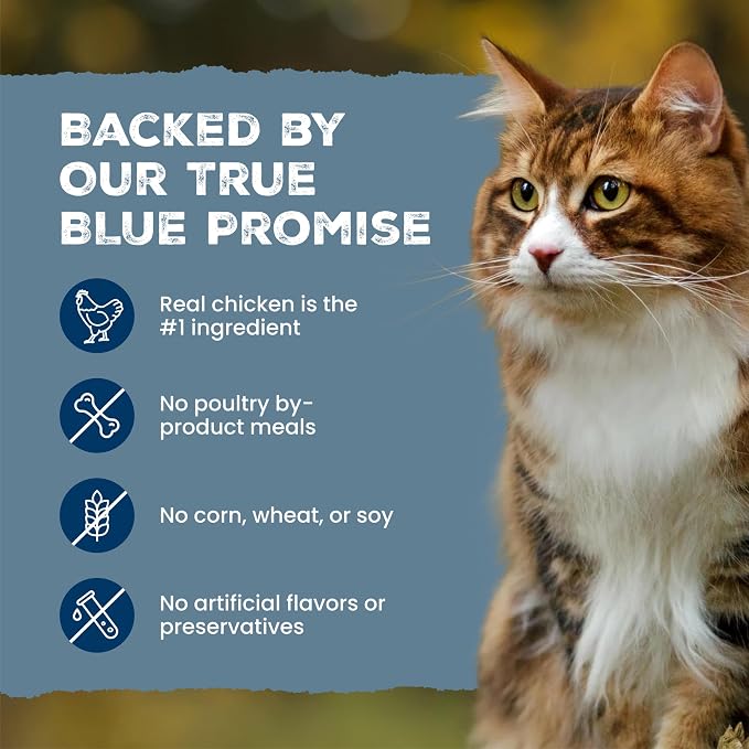 Blue Buffalo Wilderness Tasty Chicken Crunchy Cat Treats, Grain-Free Cat Treats, Real Chicken, Natural Ingredients, Enhanced with Vitamins, Minerals & Other Nutrients, Great for Training, Tub 12 oz.