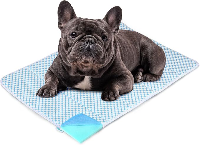 Dog Cooling Mat for Large Dogs – 30"x20" Orthopedic Memory Foam Pad for Summer, Hot Weather & Joint Relief | Washable, Non-Slip Crate Mat for Senior Dogs, Travel & Home (Blue)
