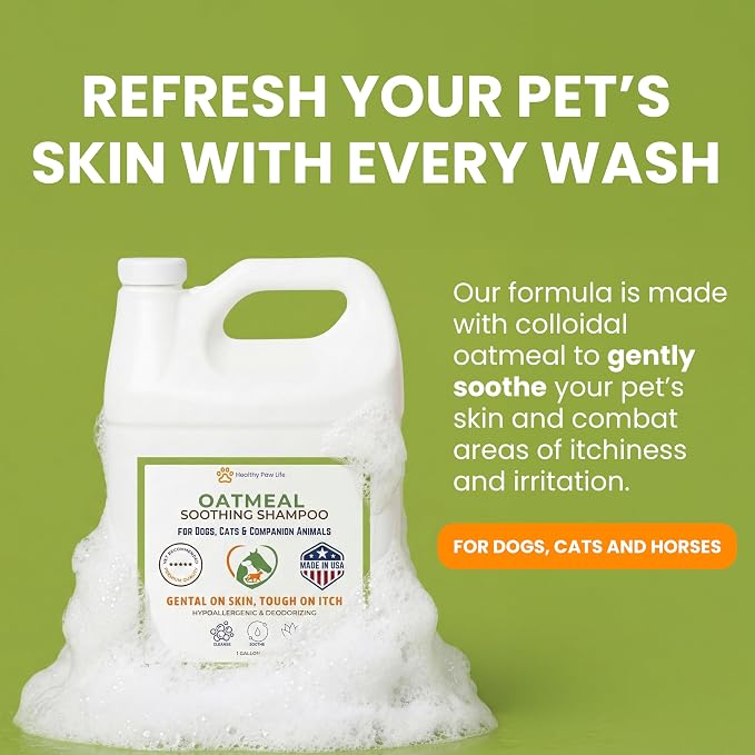 Healthy Paw Life Oatmeal Dog Shampoo for Dry Itchy Skin Relief - 1 Gallon Bulk Pet Wash for Dogs, Cats & Horses - Soothing Colloidal Oatmeal Formula for Sensitive Skin & Coat Care