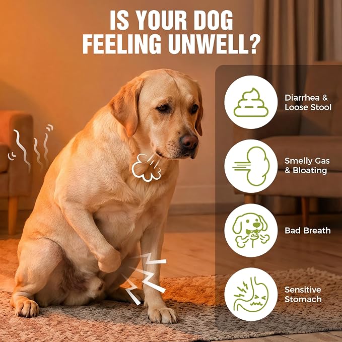 Dog Probiotics 2 Billion CFU & 6 Strains - Advanced Digestive Support with Bacillus Subtilis - Soft Chews for Gut Health, Bloating & Healthy Stool - Daily Supplement for All Breeds