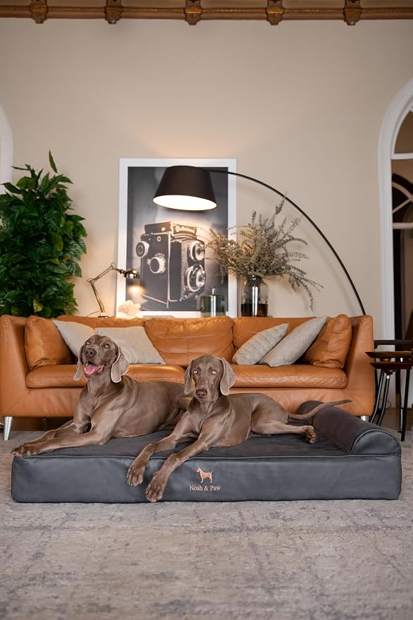 NOAH & PAW Giant Dog Bed XXL 55x45x9.5 Inch, Orthopedic Dog Beds, Eggshell Memory Foam Infused with Cooling Gel, Water Resistant, Machine Washable, Includes Inner Cover (Faux Leather)