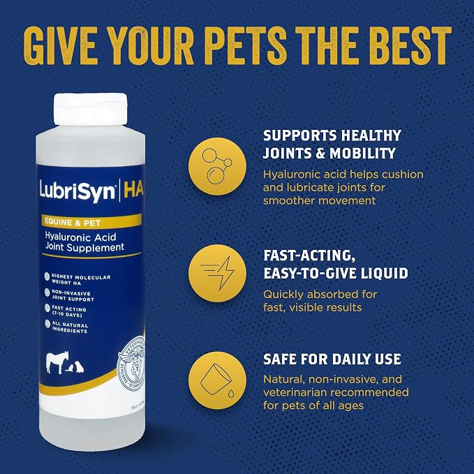 LubriSyn HA Hyaluronic Acid Hip & Joint Supplement for Dogs & Cats, Vet-Developed Oral HA, Original Pet & Equine Liquid Formula Supports Mobility, Cartilage Health & Comfort, 16 oz