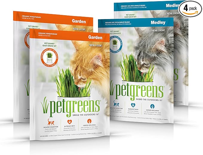 Pet Greens 4 Pack Cat Grass Garden Wheatgrass self Grow and Medley Oat, Rye and Barley, 2 of Each 3oz Package