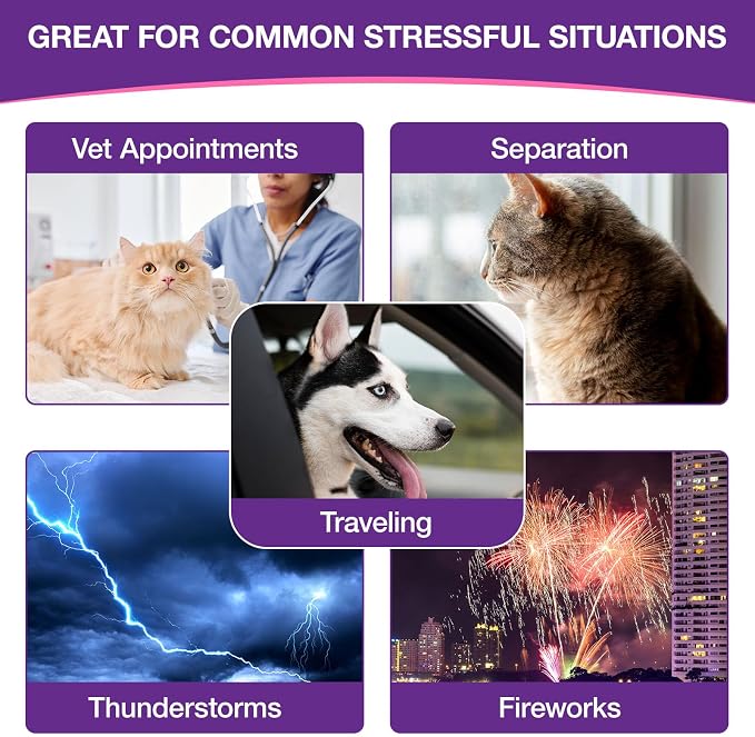 Liquid Melatonin for Dogs & Cats, 60ml Dog Melatonin Calming Drops with L-Theanine, Cat Calming Dog Sleep Aid Support Anxiety Relief for Travel, Separation, Barking, Fireworks (60ml (Pack of 2)