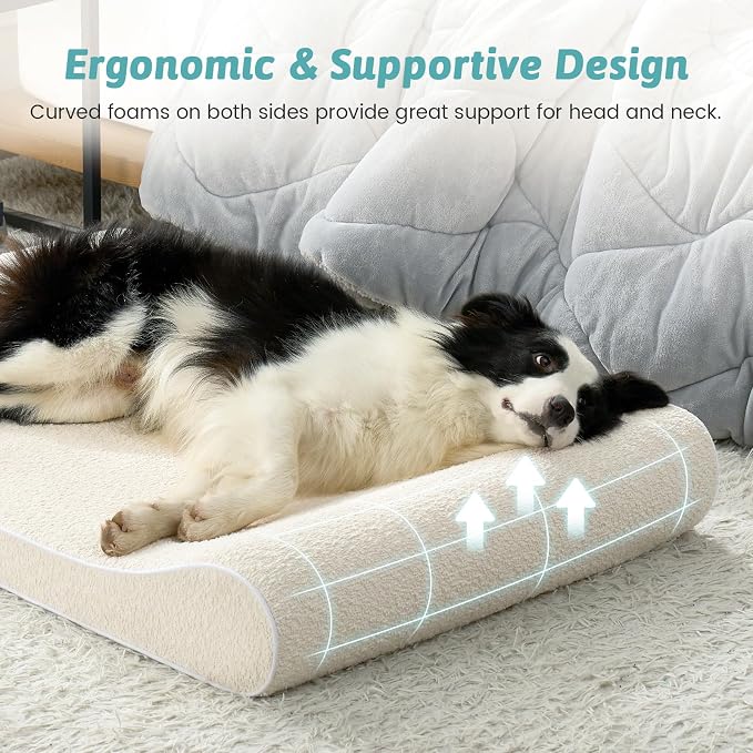 COZY KISS Orthopedic Dog Bed for Extra Large Dogs up to 140 lbs - Removable Washable Cover with Waterproof Lining, Cotton-Polyester Blend Boat-Shaped Lounger Mattress, XL(51x36x8in), Beige