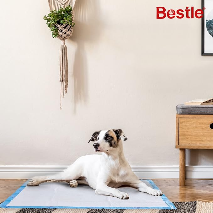 BESTLE Extra Large Pet Training and Puppy Pads Pee Pads for Dogs 28"x34" -18 Count Super Absorbent & Leak-Proof