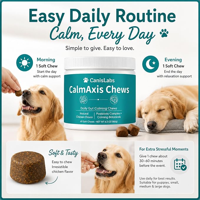 Calmaxis Postbiotic Chews, Calming Chews for Dogs, Daily Gut Support with Postbiotics + L-Theanine for Puppies Small All Dogs, Reduce Stress and Anxiety, Chicken Flavor, 60 Soft Chews
