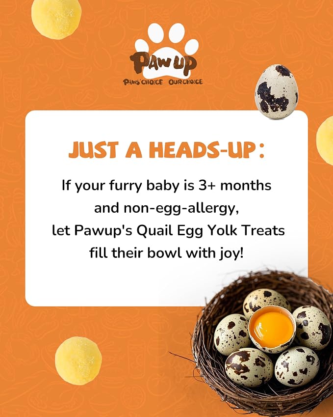 PAWUP Freeze Dried Quail Egg Yolk Pet Treats, Freeze Dried Minnows Dogs Treats 100% Raw Single-Ingredient Healthy Training Rewards & Meal Toppers