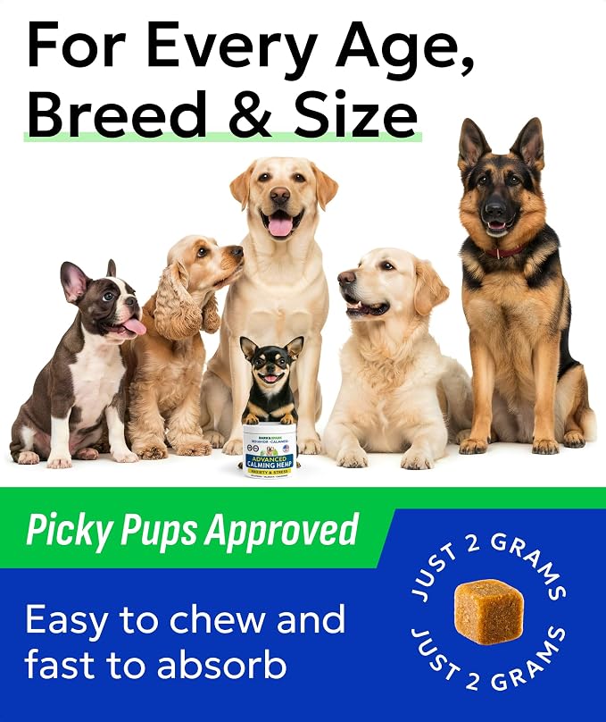 BARK&SPARK Advanced Calming Hemp Treats for Dogs - Hemp Oil + Melatonin - Anxiety Relief - Separation Aid - Stress Relief During Fireworks, Storms, Thunder - Aggressive Behavior, Barking - 180 Chews