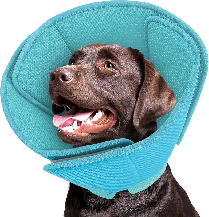 Queenmore Dog Cone,Soft Cone for Large Dogs After Surgery,Comfy Large Dogs Cones to Stop Licking, Adjustable Soft Dog Cones Collar, Elizabethan Pet E-Collar for Wound Healing,LightBlue,L