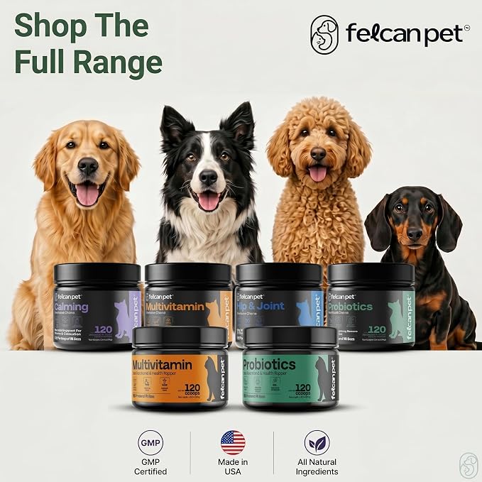 Probiotics For Dogs Soft Chews With Pumpkin, Papaya & Prebiotic Inulin – Dog Probiotic With 6-Strain Blend – Supports Dog Digestive Balance – Gut Health For Dogs – Chicken Flavor, 120 Chews