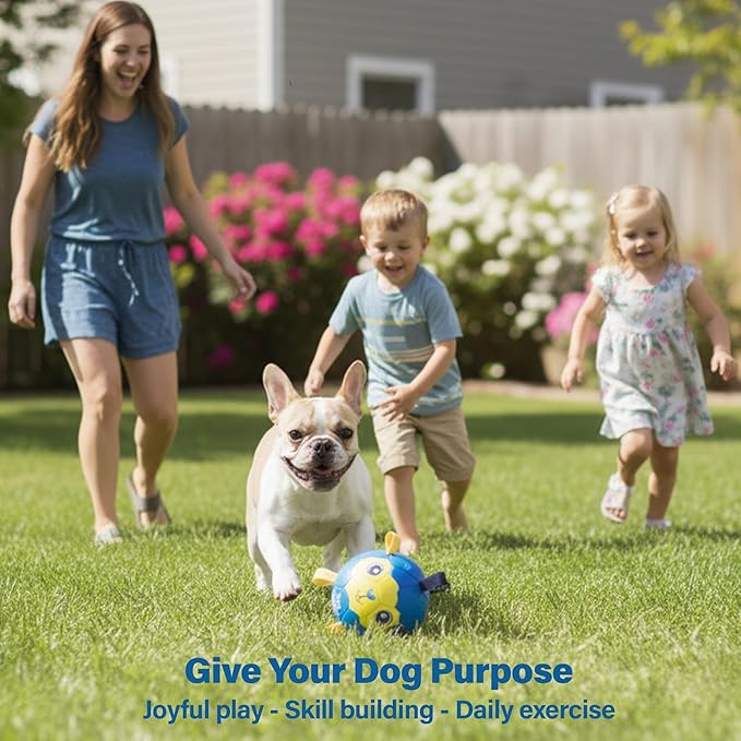 Race&Herd 6" Jolly Soccer Ball for Dogs - Tough Durable Dog Ball Toy with Straps, Pet Bouncy Herding Balls for Dogs, Floating Dog Balls with Tags for Water Fetch, BaaBaaBall (Ocean)