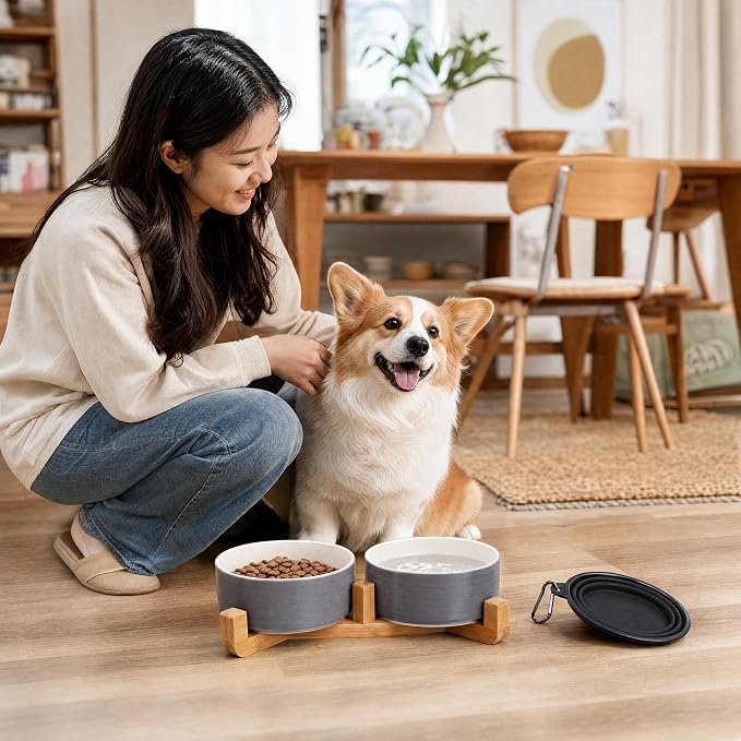 Petygooing Ceramic Cat Dog Bowl Set with Wood Stand, 13.5OZ/5.1 in, Grey White