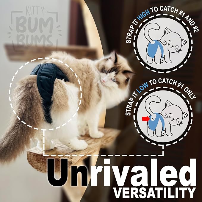 Kitty Bum Bums Reusable Cat Diapers and Stud Pants to Prevent Pee Marking - with Adjustable Tabs to Fit (Pack of 3) (Medium)