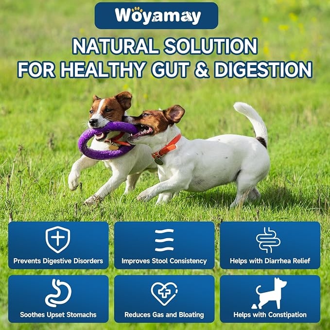 Woyamay Dog No Chew Spray & Probiotic Chews Bundle – Digestive Health + Behavioral Support for Dogs – Prevent Chewing, Licking & Biting While Supporting Gut Health, Immunity & Daily Comfort