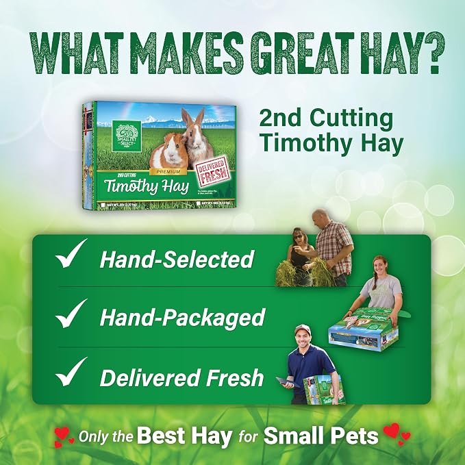 Small Pet Select 2nd Cutting Perfect Blend Timothy Hay Pet Food for Rabbits, Guinea Pigs, Chinchillas and Other Small Animals, Premium Natural Hay Grown in the US, 25 LB