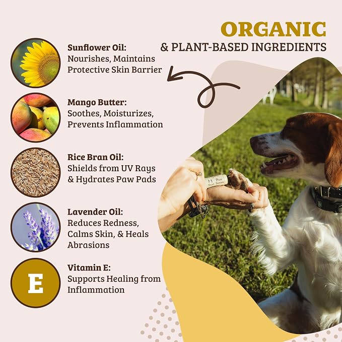Natural Dog Company PawTection Dog Paw Wax – Dog Paw Protection for Hot Pavement, Sand, Asphalt & Trails, Waxy Barrier Balm for Summer Walks, Hiking Days, Non-Toxic, and Lick Safe, 0.15 oz Stick