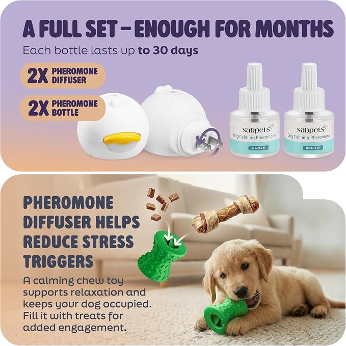 Dog Calming Diffuser Kit Pheromone Plug-in for Dogs, Helps Reduce Pee Accidents, Barking & Separation Anxiety – 2 Diffusers + 2 Refills + Toy | Mess-free support for home routines