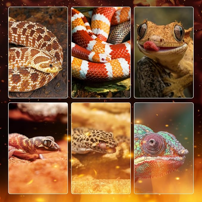 Reptile Heating Panel Temperature Adjustable Reptile Heat Panel for Terrariums, Energy Efficient & Non-Light Heater for Reptiles, Snakes, Crested Gecko,Turtles,Leoparaand Amphibians