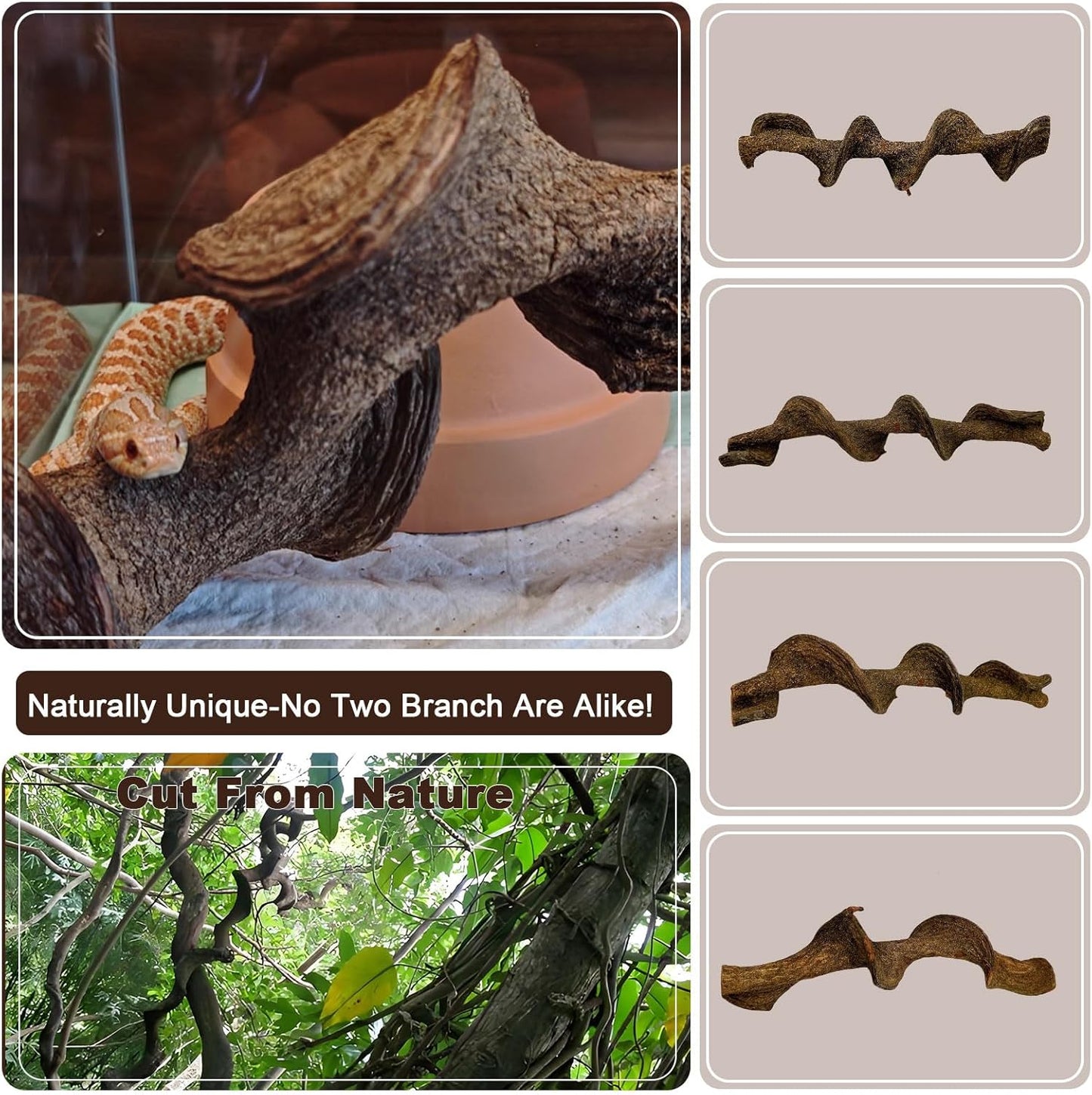 BNOSDM 3Pcs Reptile Climbing Branches Decor,Snake Climbing Branch,Gecko Climb Wood,Lizard Forest Branch,Tank Habitat Tree Trunk Decorations for Bearded Dragons,Chameleons,Spider,Frogs (L)