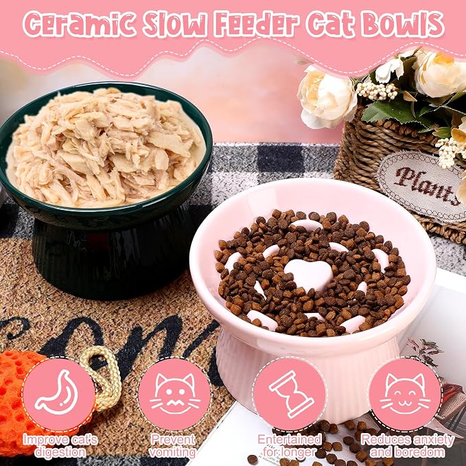 Tioncy 2 Pcs Raised Cat Slow Feeder Bowl Ceramic Elevated Cat Dog Food Bowl No Spill High Edge for Dry Wet Food and Water Easy to Clean, Dishwasher Safe (Pink,Dark Green)