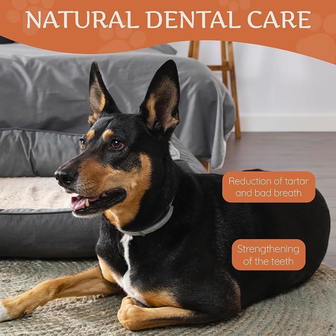 Wildfang® Yak Chews, Large for Dogs 55-99 lbs – Dog Dental Chew Stick, Hardness Like Himalayan Yak Cheese, Churpi-Style Cheese Sticks, Dog Treats & Puppy Training Treats, Approx 4 oz, Pack of 1