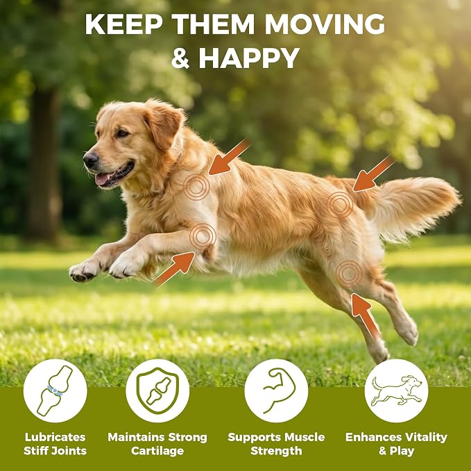 Hip & Joint Chews for Senior Dogs – Advanced Mobility Formula | Glucosamine, chondroitin & MSM soft chews support mobility, flexibility & daily activity for large and aging dogs.