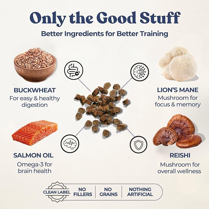 healthybud Mini Dog Training Treats - Beef Liver Soft Trainer Bites, 500+ Bits, 1 kCal per Bite, 6.5oz, Reishi, Lion’s Mane, Salmon Oil, Puppy Chews (Chicken)