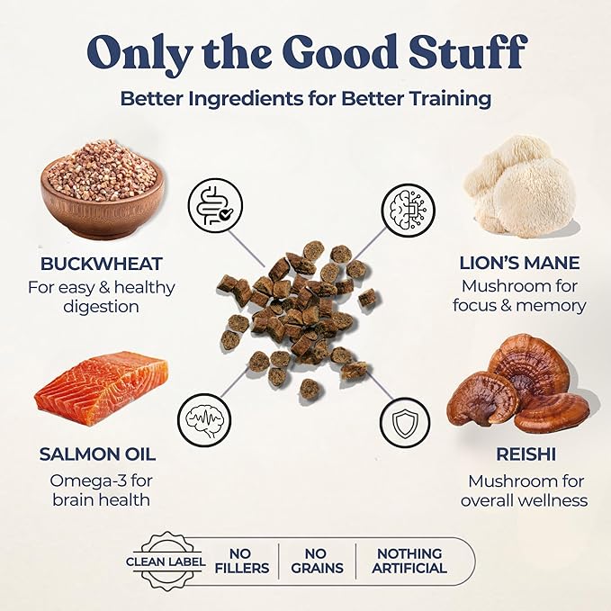 healthybud Mini Dog Training Treats - Beef Liver Soft Trainer Bites, 500+ Bits, 1 kCal per Bite, 6.5oz, Reishi, Lion’s Mane, Salmon Oil, Puppy Chews (Beef)