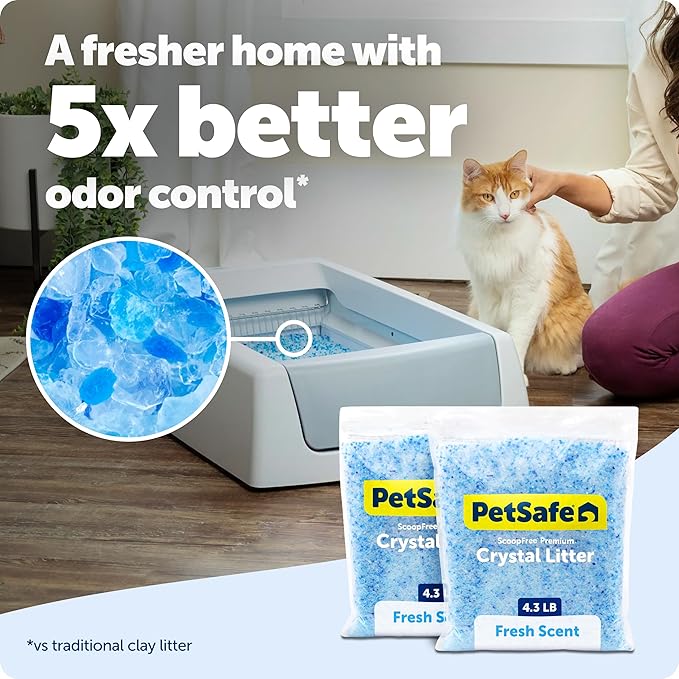 PetSafe ScoopFree 4.3 lb Bags (2 Pack) Premium Crystal Cat Litter - Outperforms Clay Litter - Refill Packs - Reusable Tray Compatible - Fresh Scent