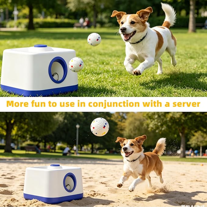 6 Pack Dog Toy Ball, 2.3 Inch ETPU Material, Automatic Ball Transmitter Replacement Ball, Suitable for Small and Medium Dogs, Suitable for 2.3 Inch Automatic Dog Ball Launcher